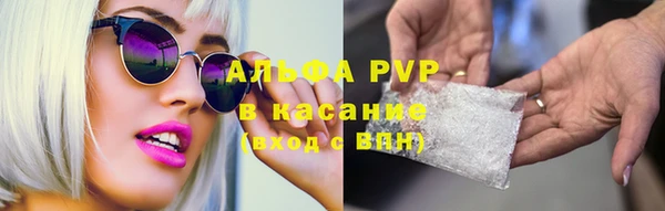 Альфа ПВП Аркадак